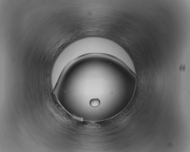 X0000115320215200911161753