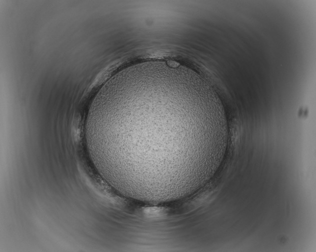 X0000115320216200911161753