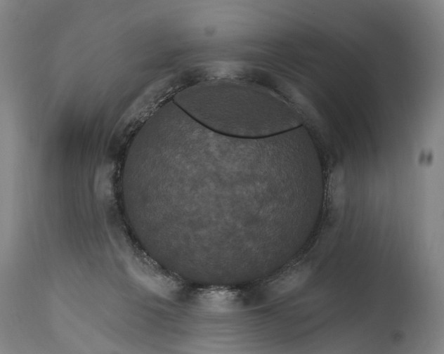 X0000115320217200911161753