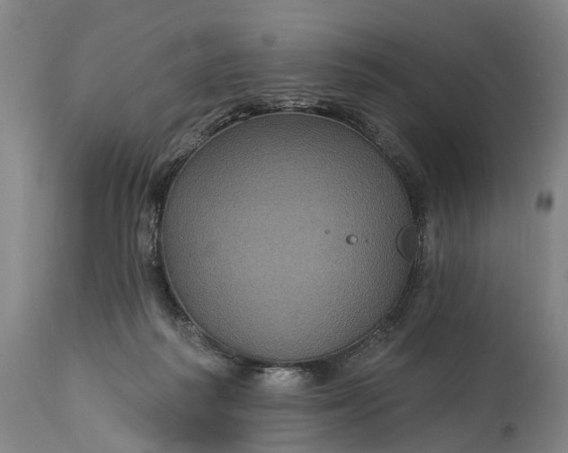 X0000115320218200911161753