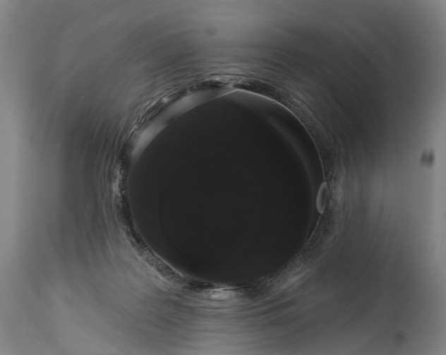 X0000115320219200911161753