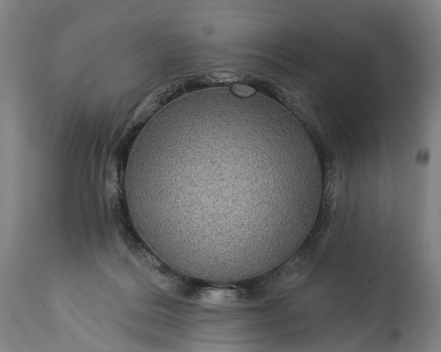 X0000115320220200911161753