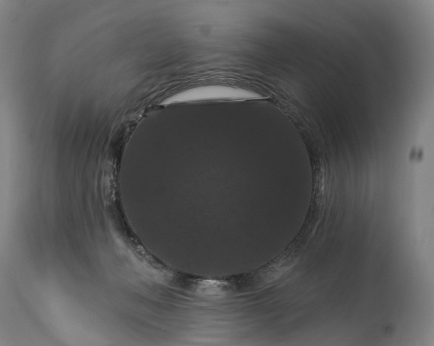 X0000115320222200911161753