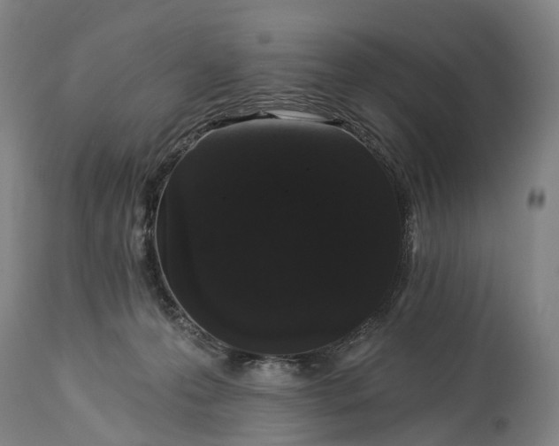 X0000115320223200911161753