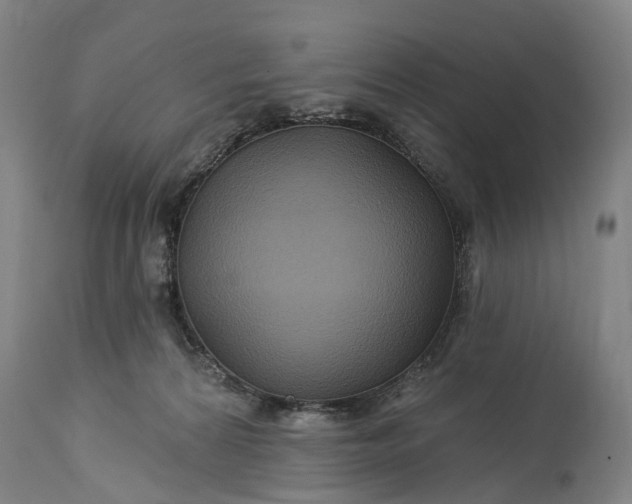 X0000115320224200911161753