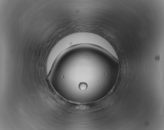 X0000115320225200911161753