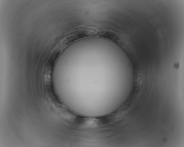 X0000115320226200911161753