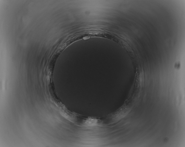 X0000115320227200911161753