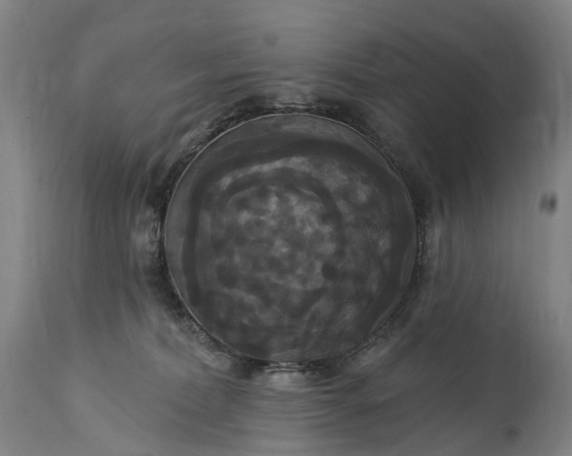 X0000115320228200911161753