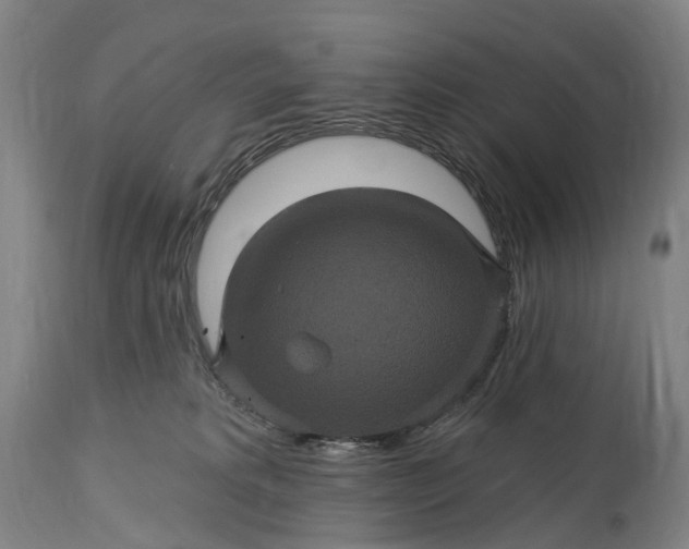 X0000115320229200911161753