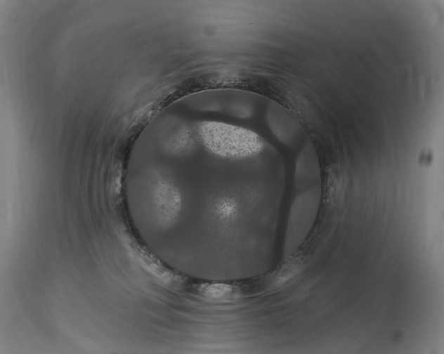 X0000115320230200911161753