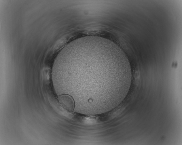 X0000115320232200911161753