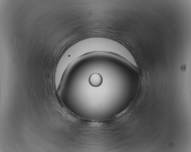 X0000115320233200911161752