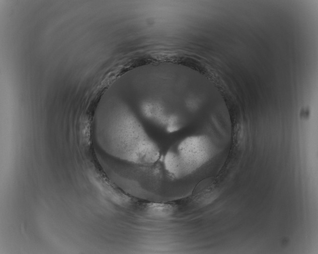 X0000115320234200911161752