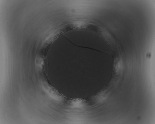 X0000115320235200911161752