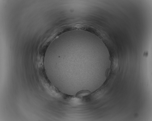 X0000115320236200911161752