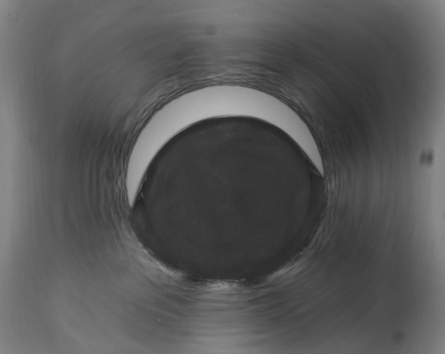 X0000115320237200911161752