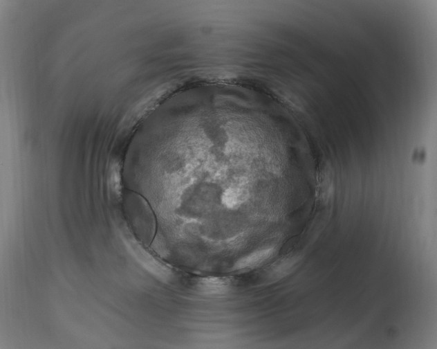 X0000115320238200911161752