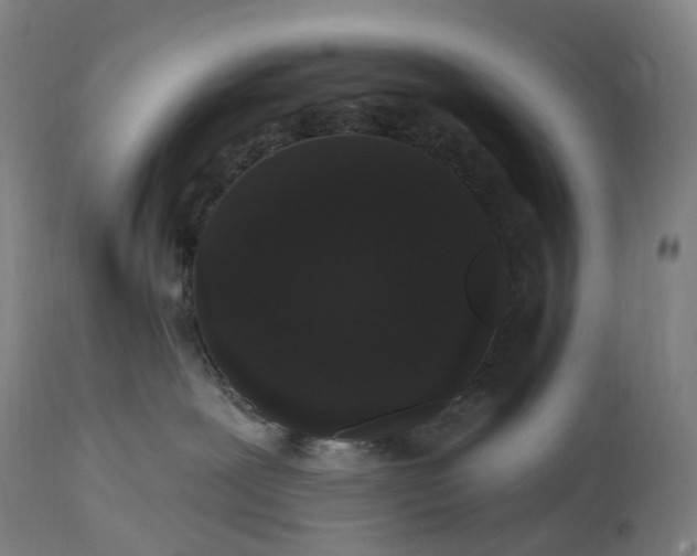 X0000115320239200911161752