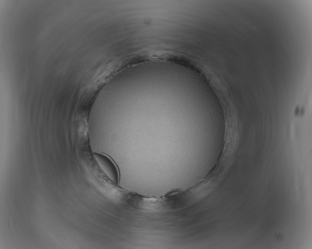 X0000115320240200911161752