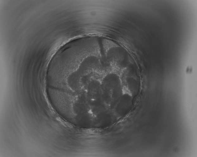 X0000115320241200911161752