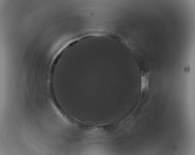 X0000115320243200911161752