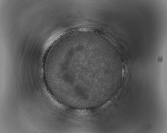 X0000115320245200911161752