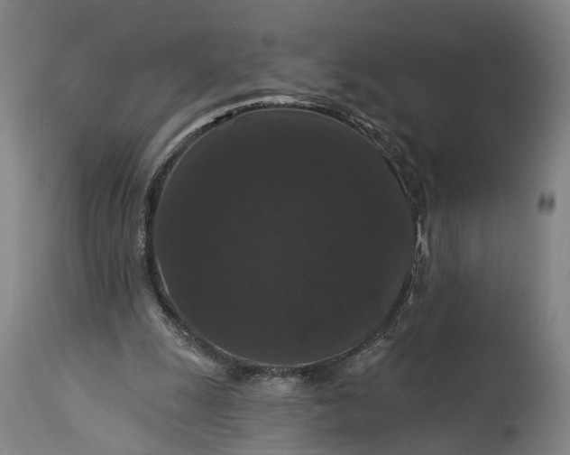 X0000115320247200911161752