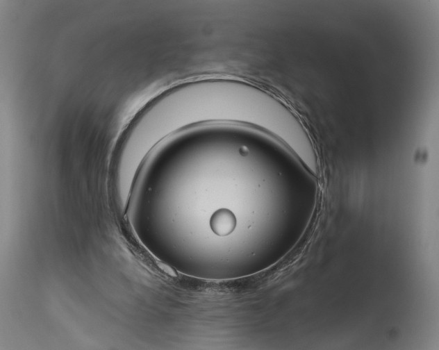 X0000115320248200911161752