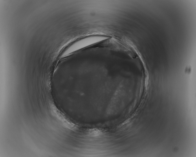 X0000115320249200911161752