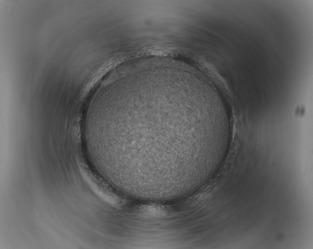 X0000115320250200911161752