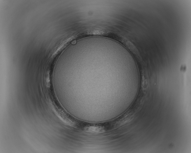 X0000115320251200911161752