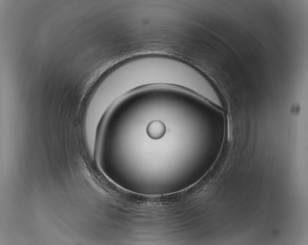 X0000115320252200911161752