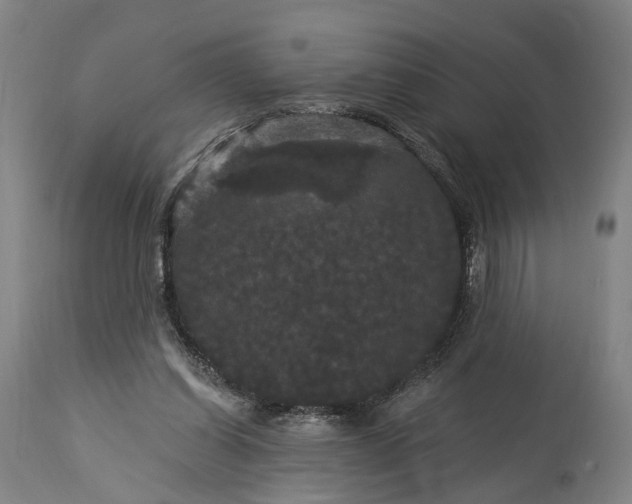 X0000115320254200911161752