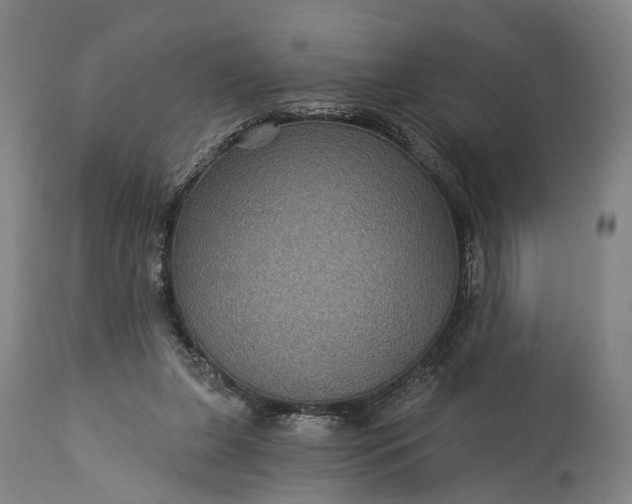 X0000115320255200911161752