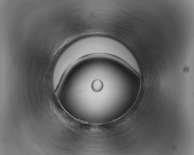 X0000115320256200911161752