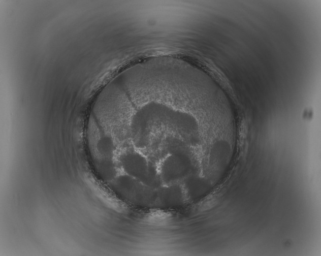 X0000115320257200911161752