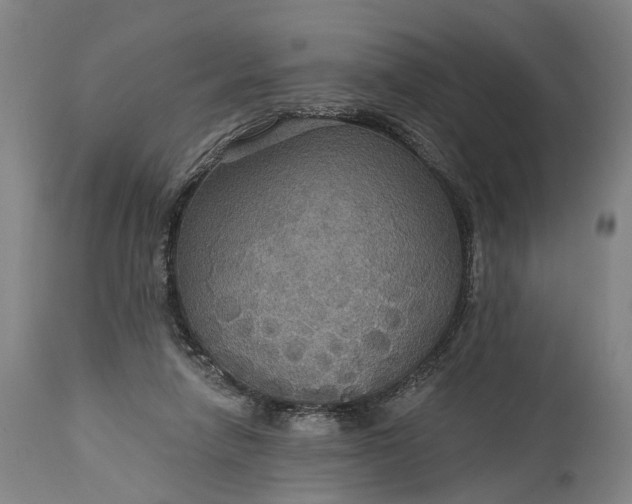 X0000115320258200911161752