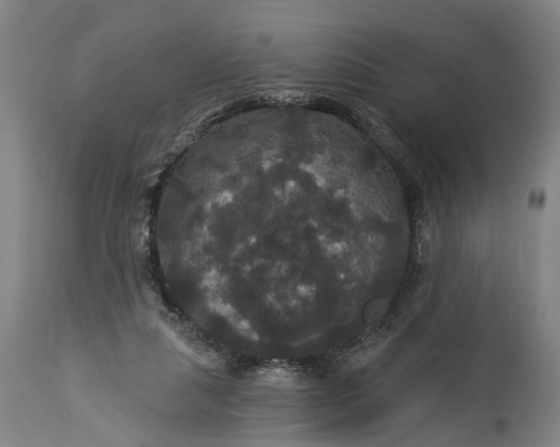 X0000115320259200911161752