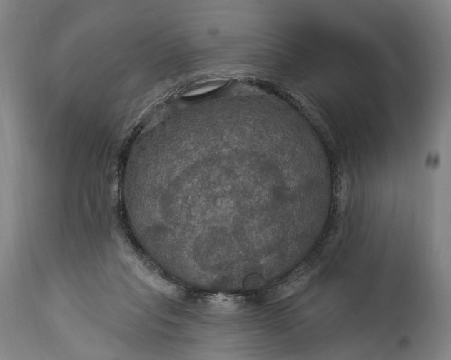 X0000115320261200911161752