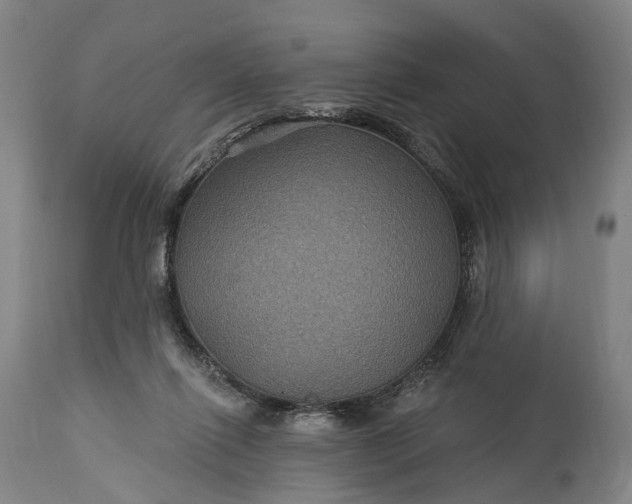 X0000115320262200911161752