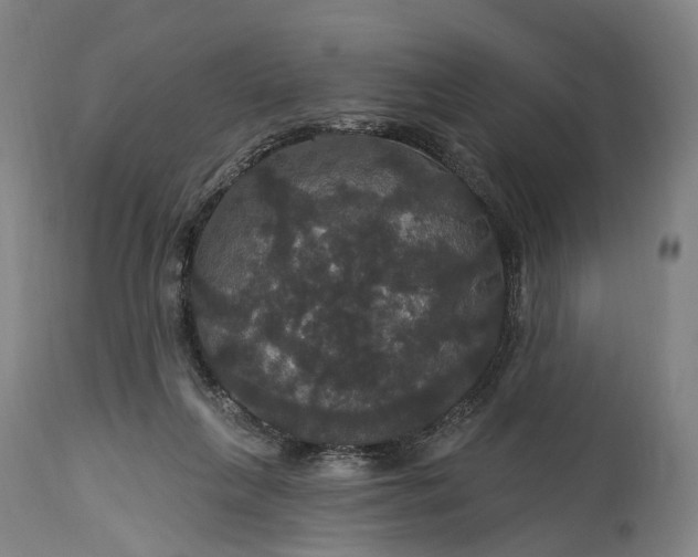 X0000115320263200911161752