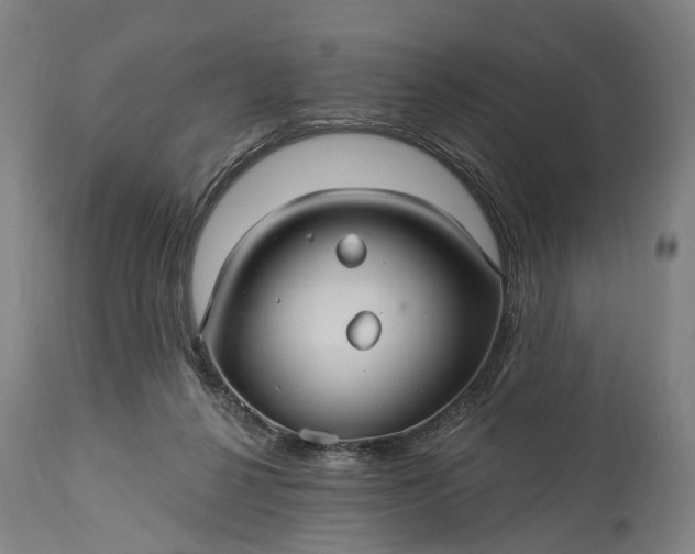 X0000115320264200911161752