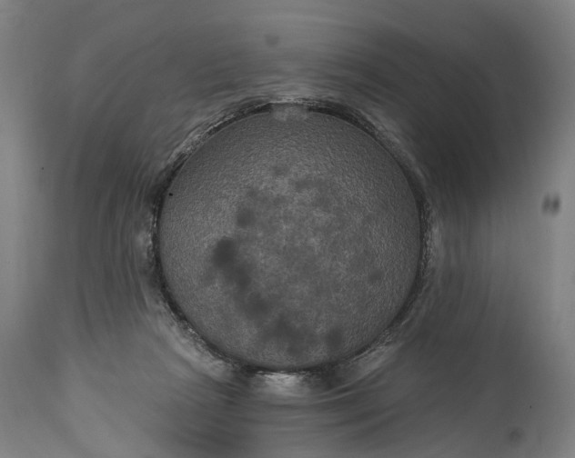 X0000115320265200911161752