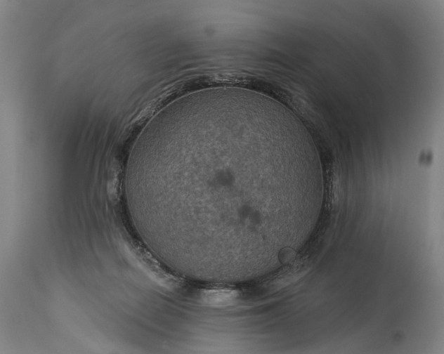 X0000115320266200911161752