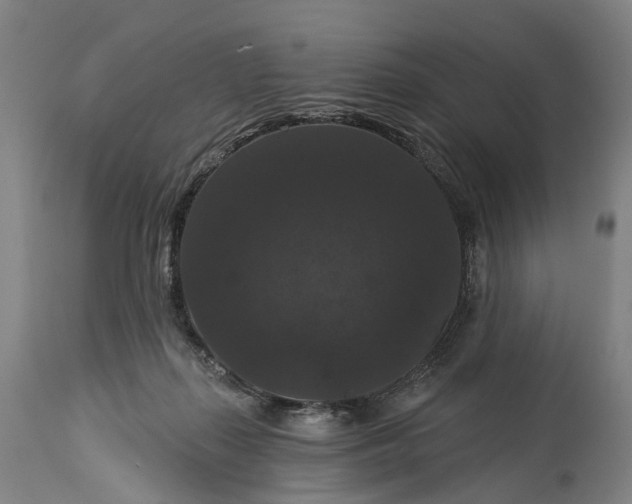 X0000115320267200911161752