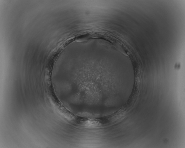 X0000115320270200911161752