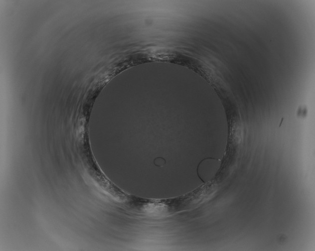 X0000115320271200911161752