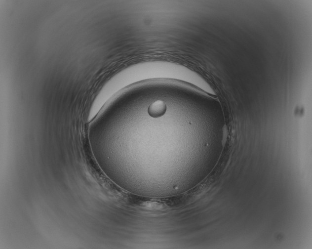 X0000115320272200911161752