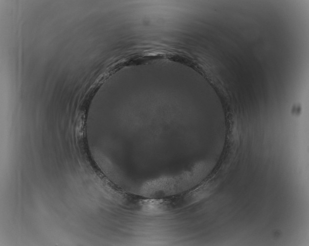 X0000115320273200911161752